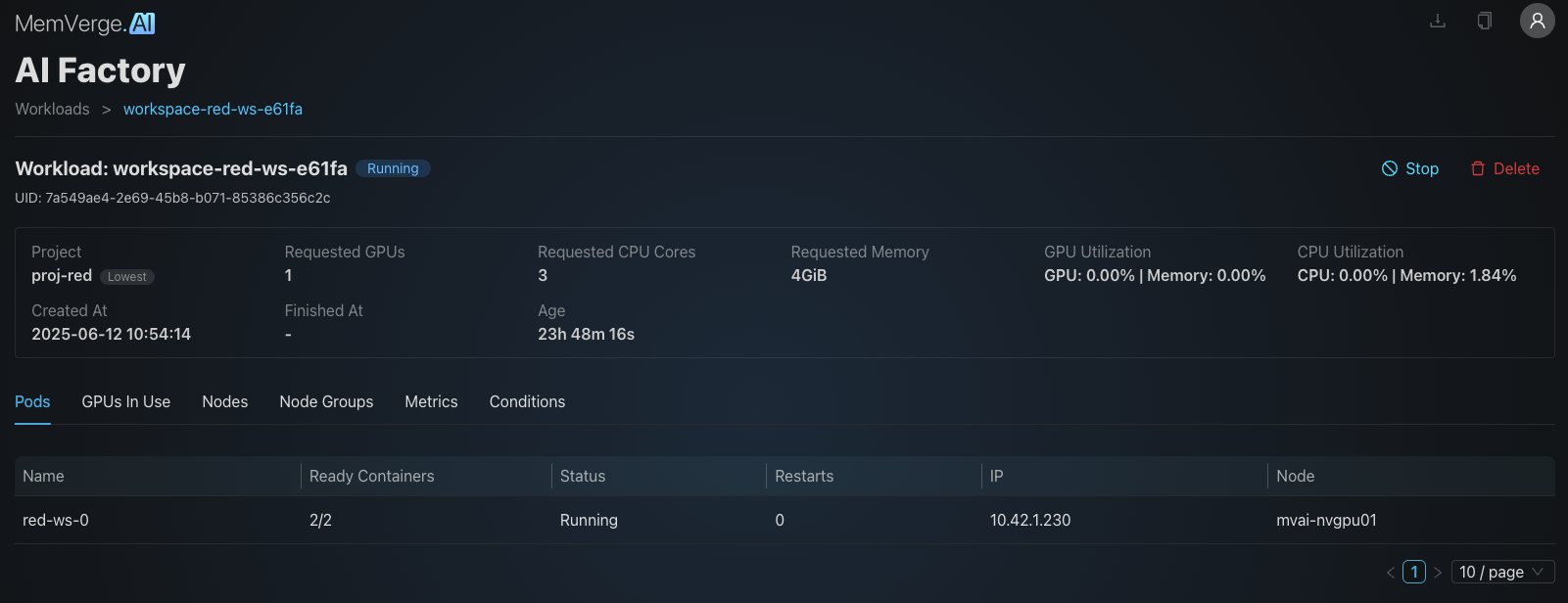 Detailed Workload Information