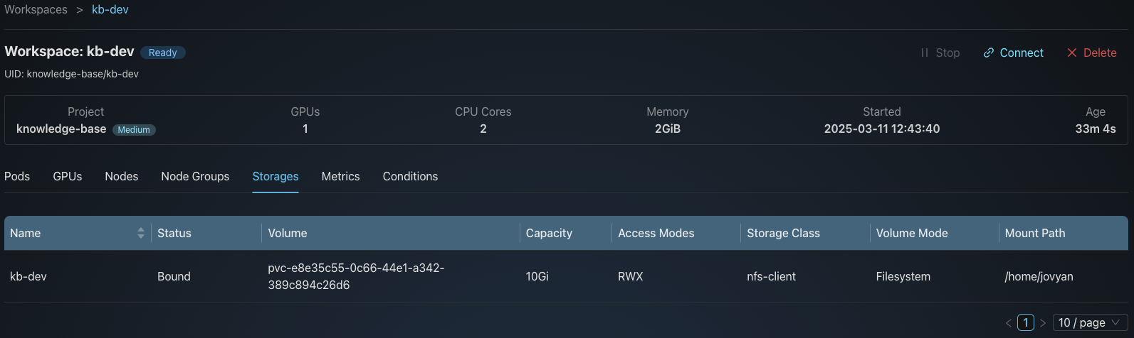 Workspace Storage Volumes