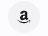 Cognito Icon