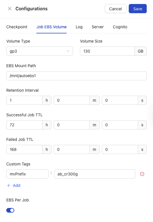 Job EBS Volume