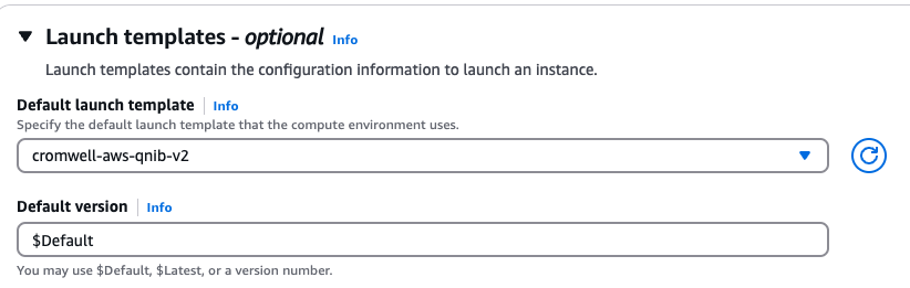 compute environent launch template